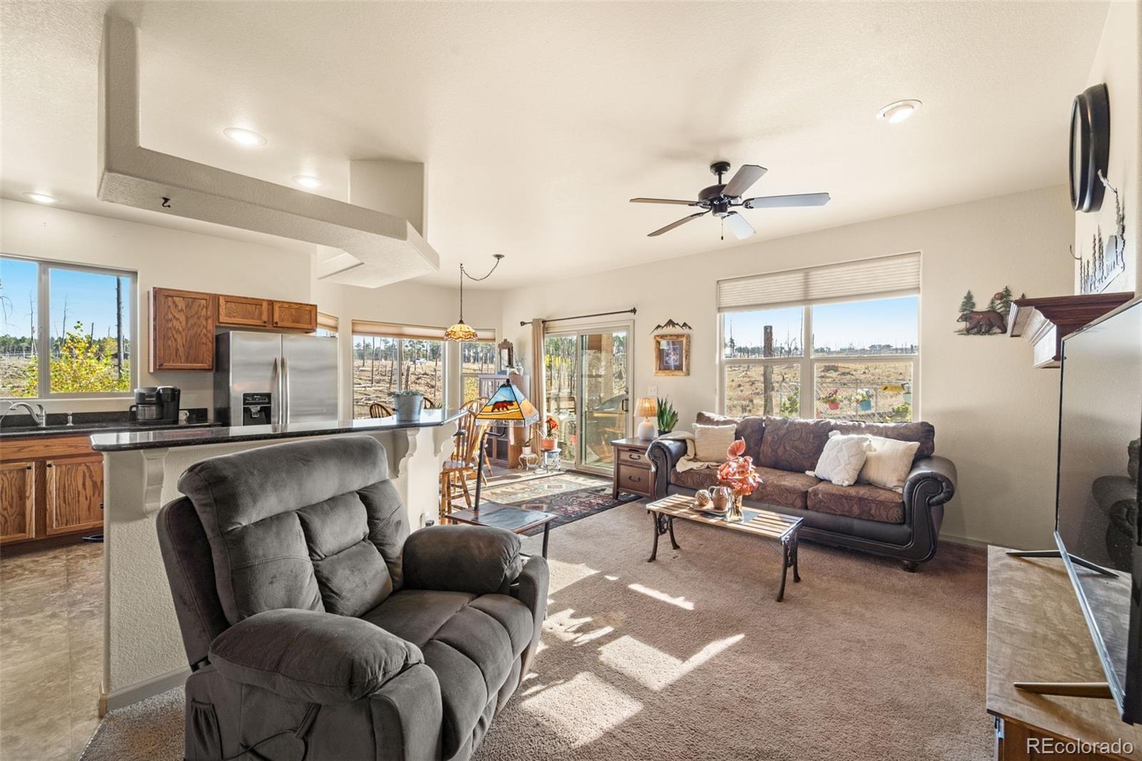 MLS Image #6 for 13025  brentwood drive,colorado springs, Colorado