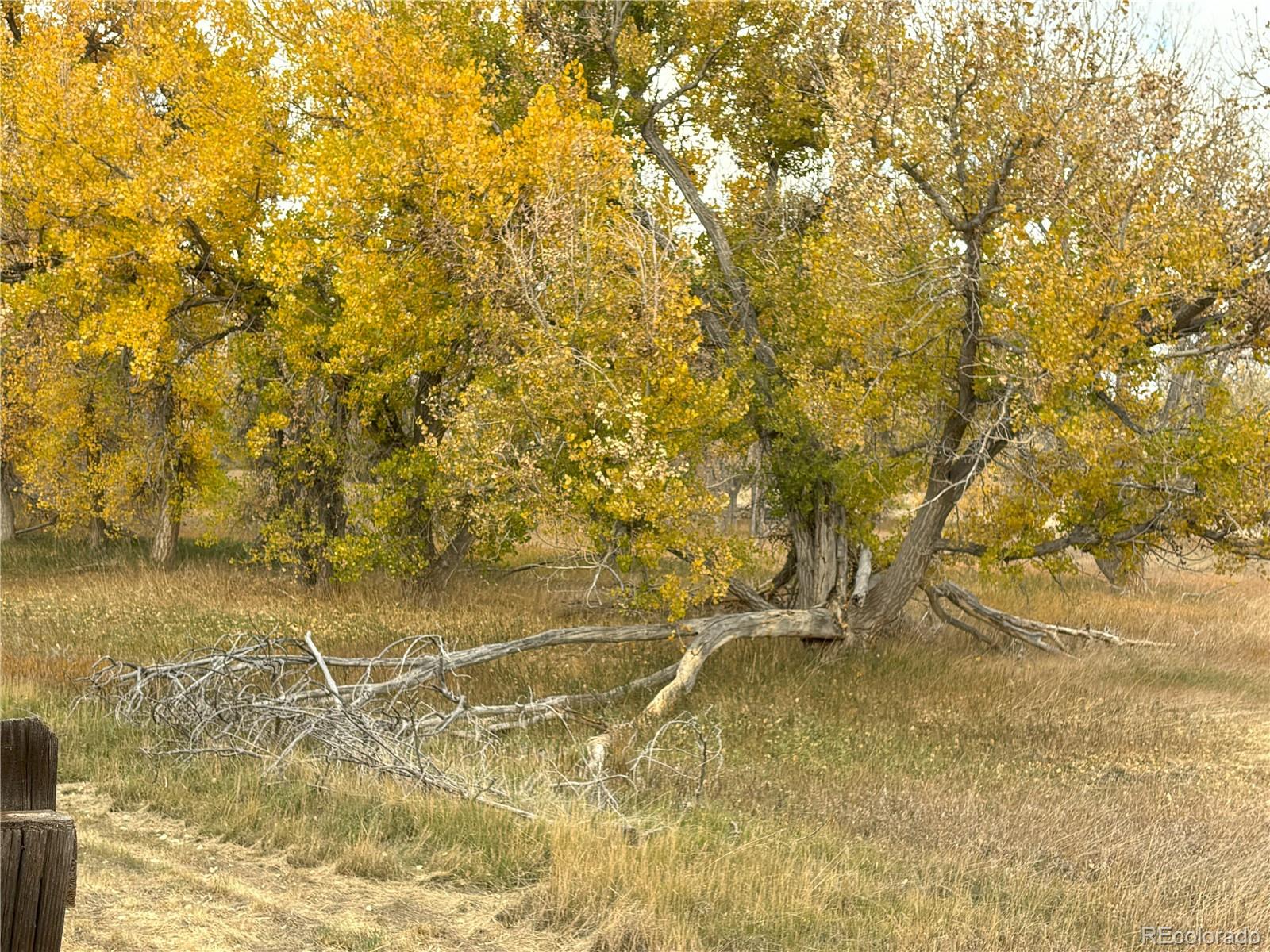 MLS Image #5 for 7772 s kittredge court,englewood, Colorado