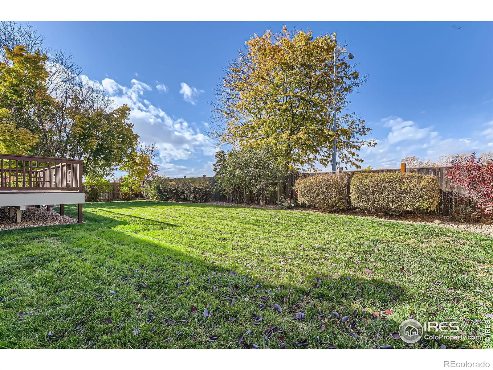 MLS Image #21 for 1219  twin peaks circle,longmont, Colorado