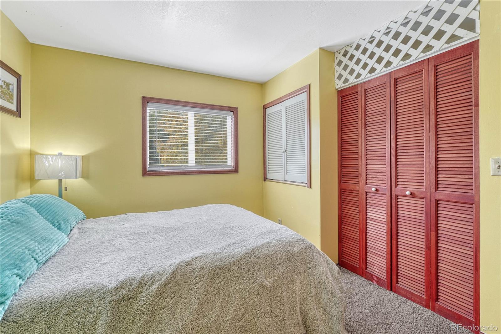 MLS Image #22 for 1617 w boulder street,colorado springs, Colorado