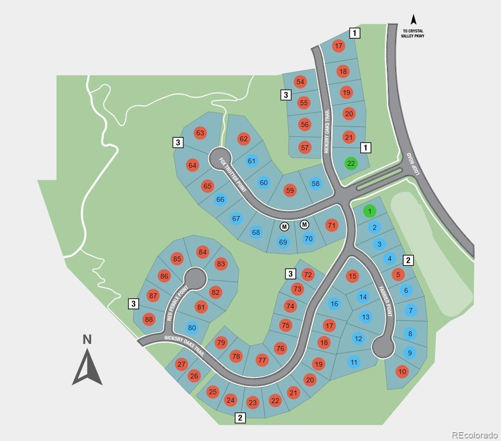 MLS Image #25 for 1658  fox trotter point,castle rock, Colorado