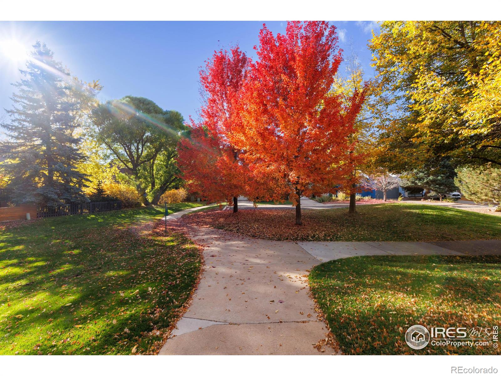 MLS Image #18 for 3715  birchwood drive,boulder, Colorado