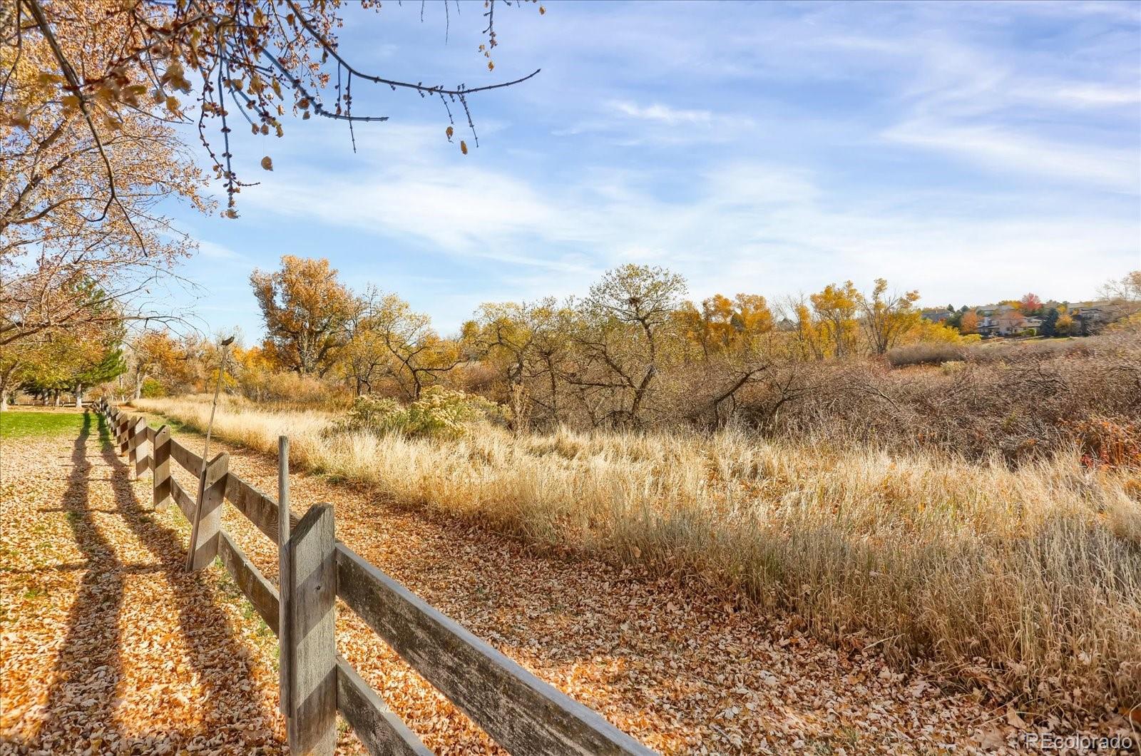 MLS Image #35 for 8986  greenspointe lane,highlands ranch, Colorado