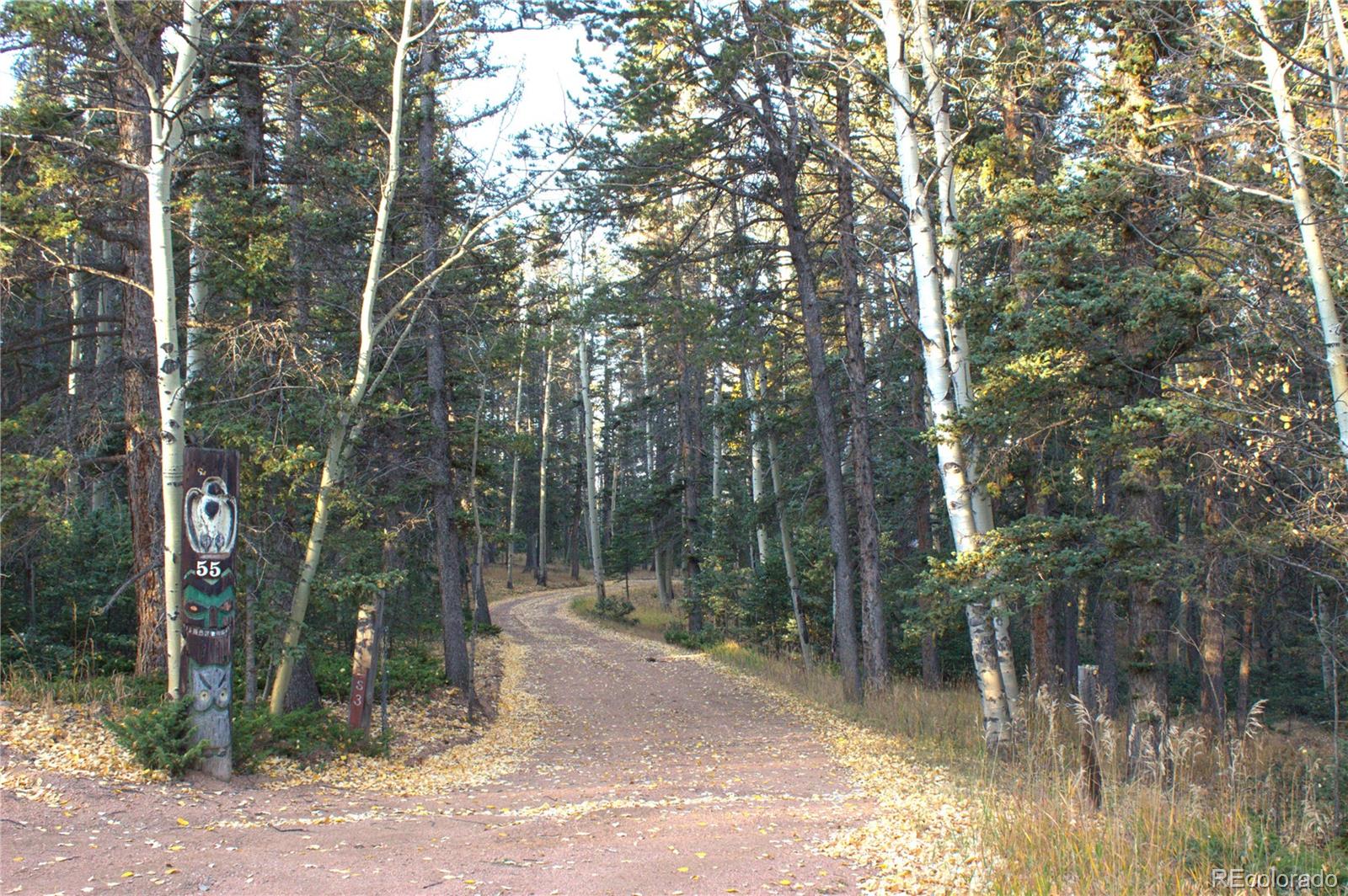 MLS Image #1 for 55  worley road,divide, Colorado