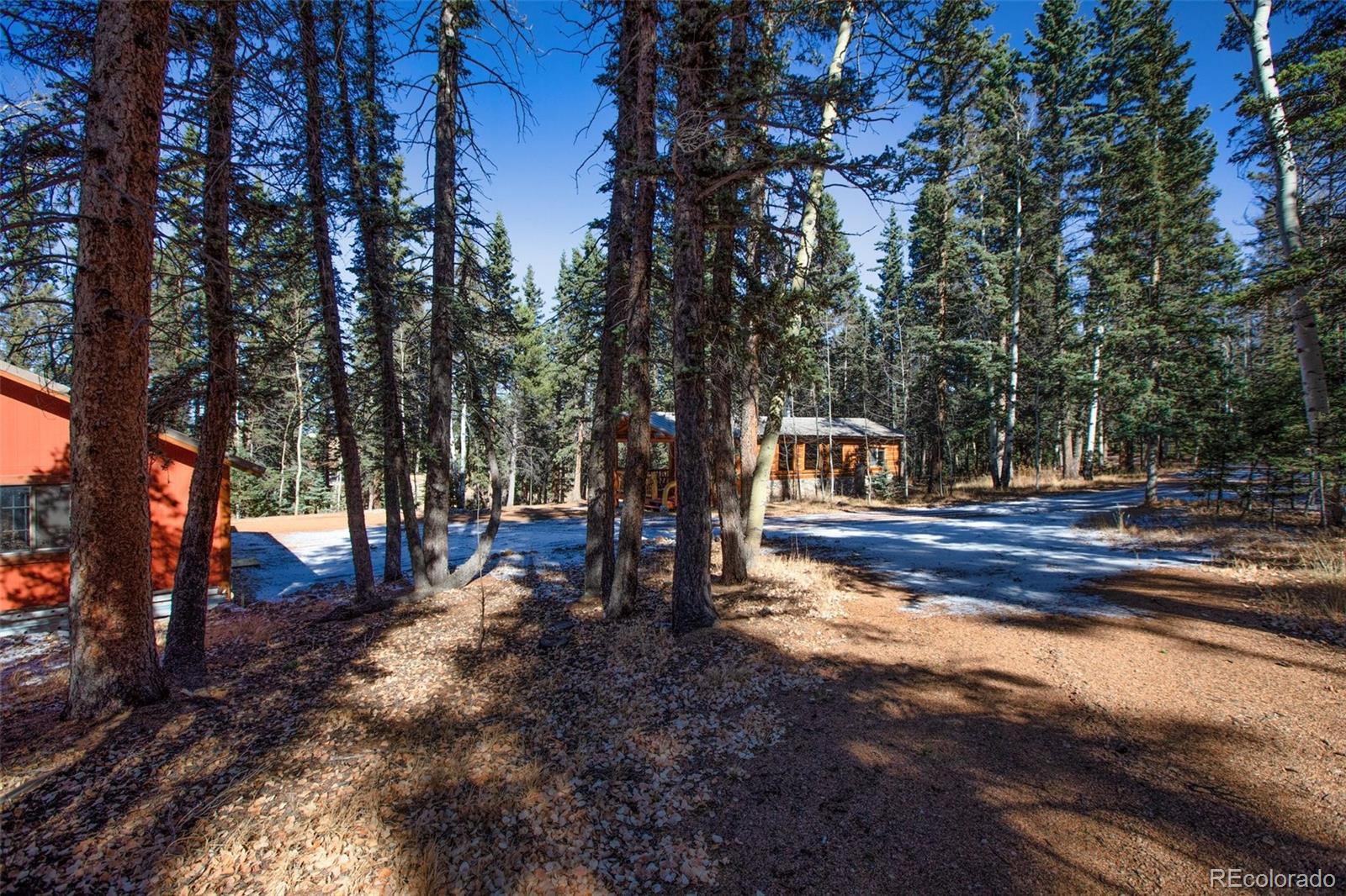 MLS Image #15 for 55  worley road,divide, Colorado