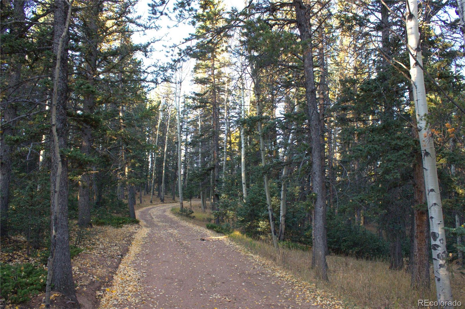 MLS Image #2 for 55  worley road,divide, Colorado