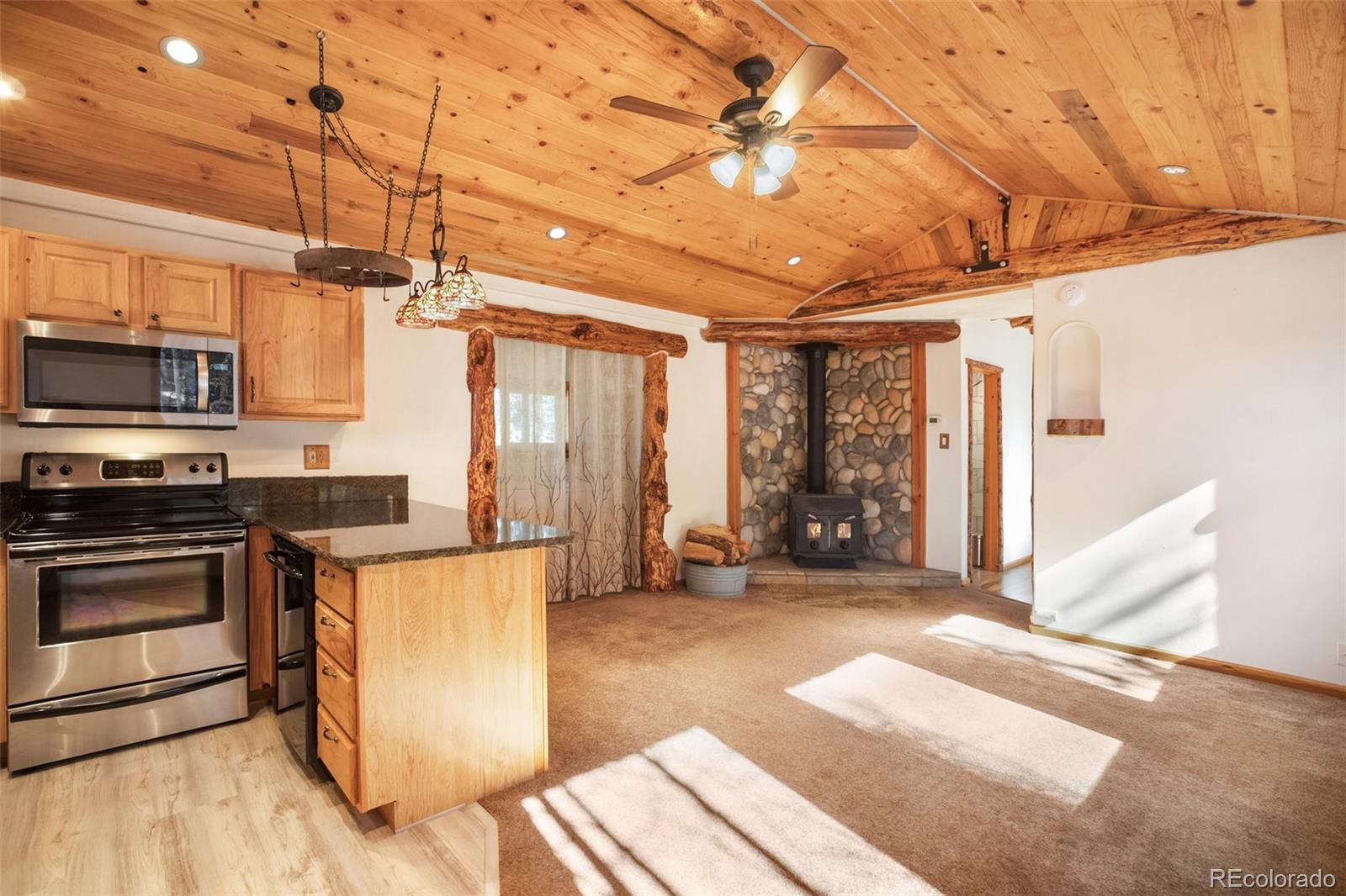 MLS Image #8 for 55  worley road,divide, Colorado