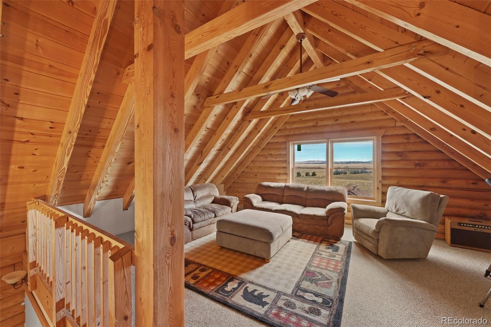 MLS Image #20 for 323  singletree court,hartsel, Colorado