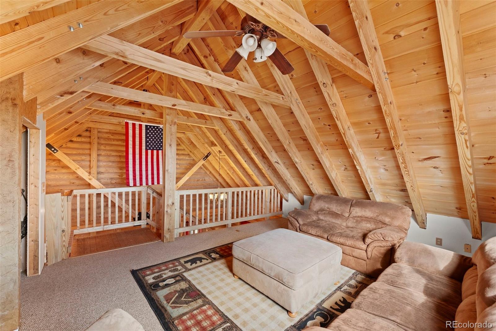 MLS Image #22 for 323  singletree court,hartsel, Colorado