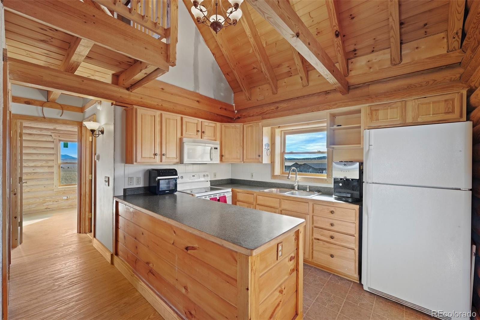 MLS Image #8 for 323  singletree court,hartsel, Colorado