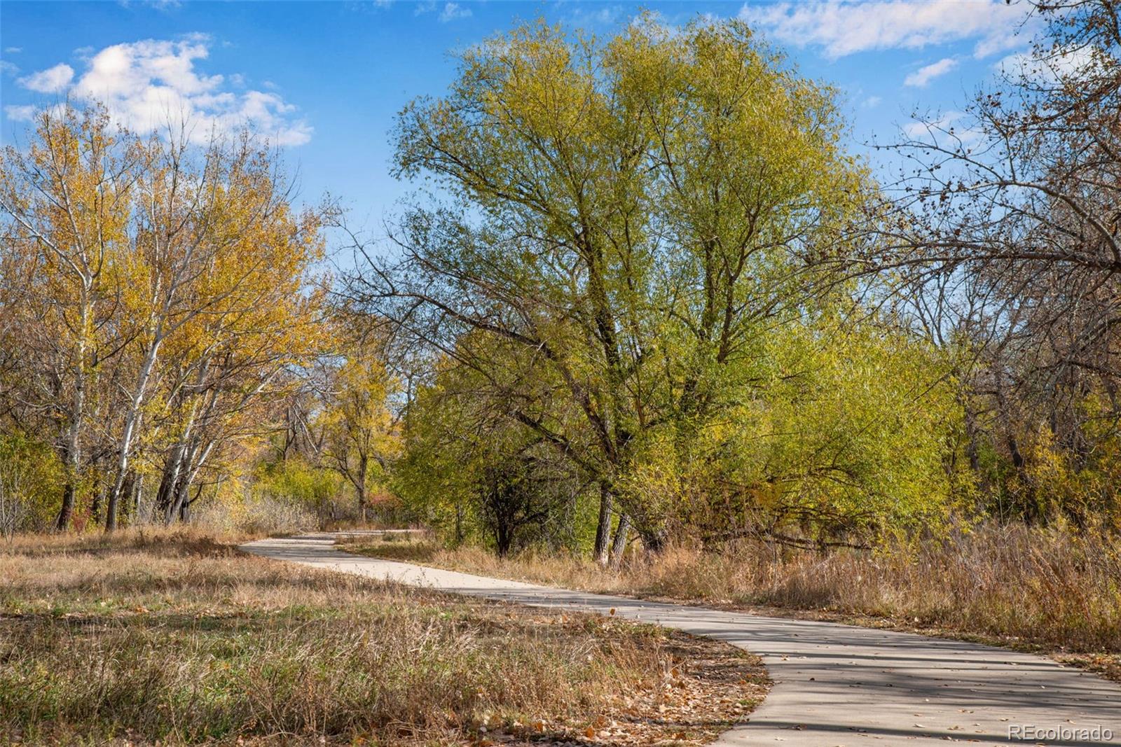 MLS Image #43 for 3995  independence court,wheat ridge, Colorado