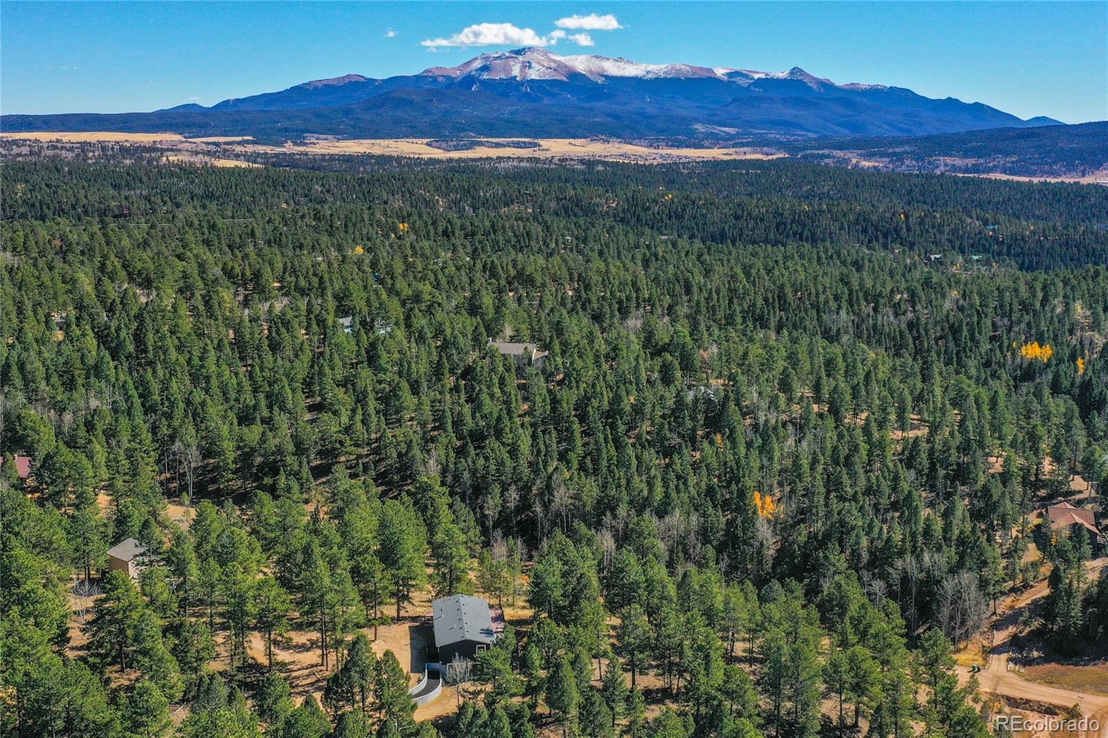 MLS Image #4 for 944  county road 512 ,divide, Colorado