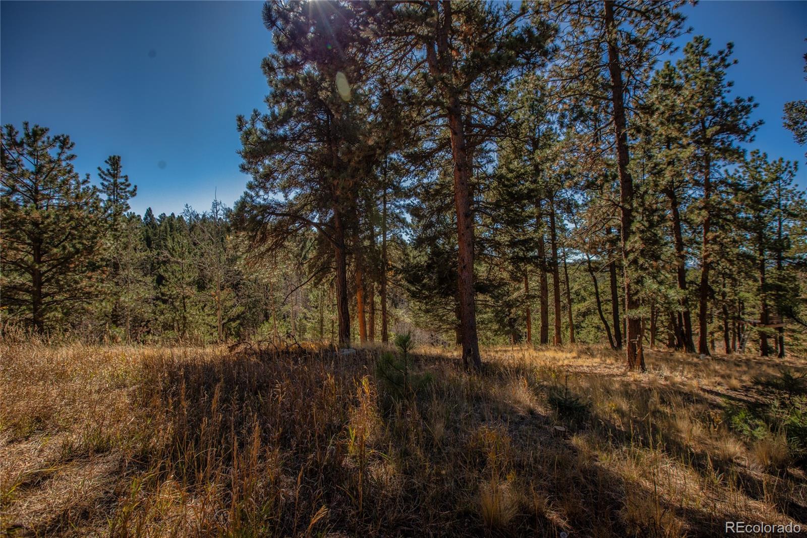 MLS Image #45 for 944  county road 512 ,divide, Colorado