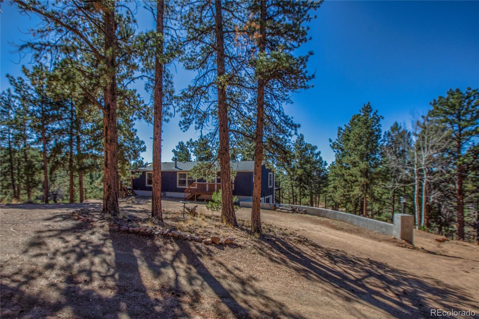 MLS Image #46 for 944  county road 512 ,divide, Colorado