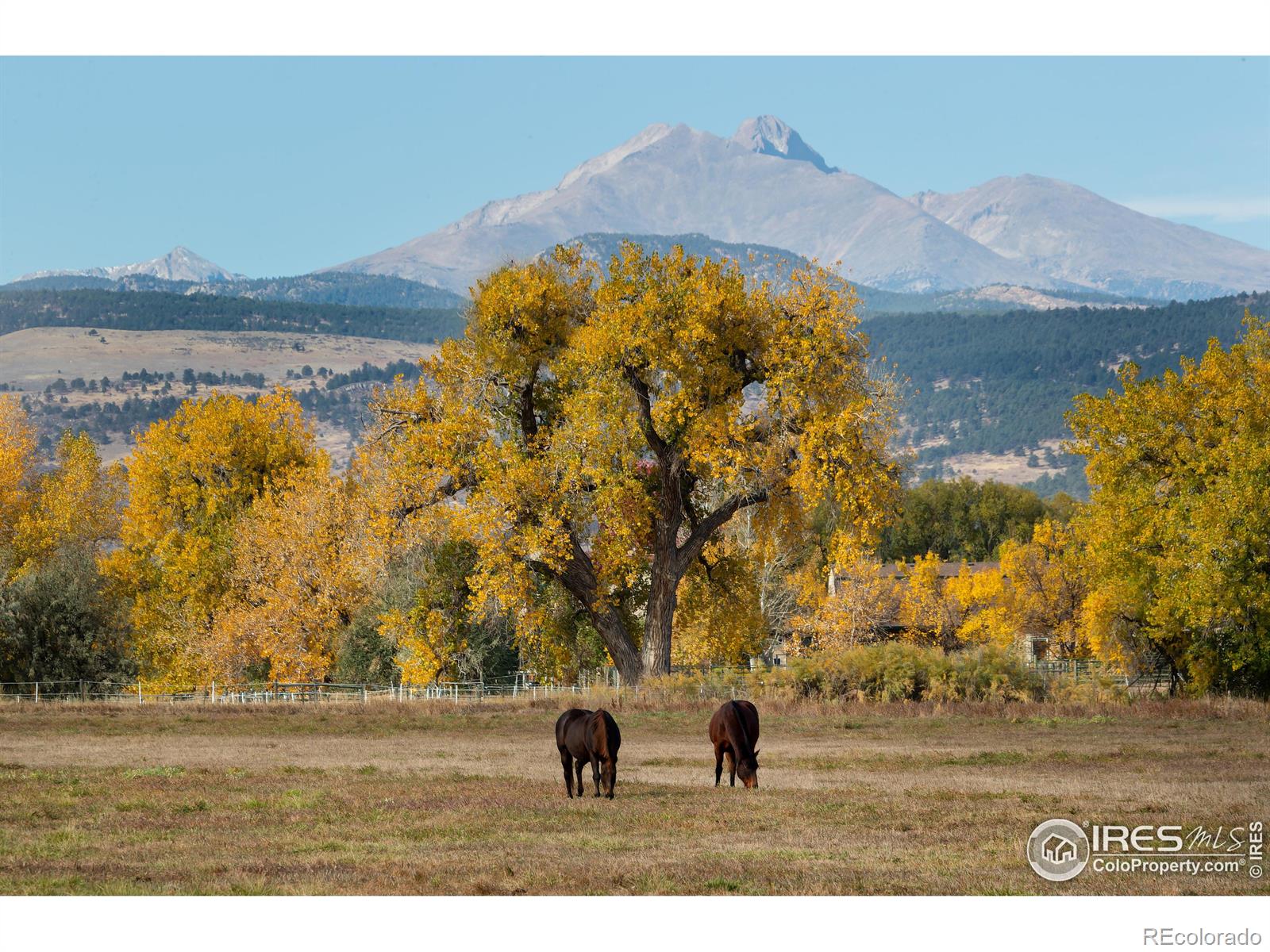 MLS Image #39 for 7217  coyote trail,longmont, Colorado