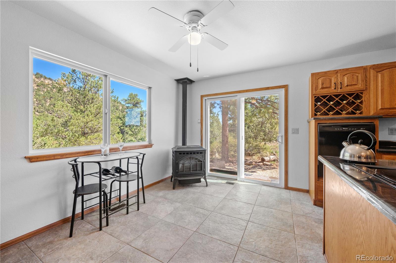 MLS Image #18 for 629  tumbleweed road,cotopaxi, Colorado