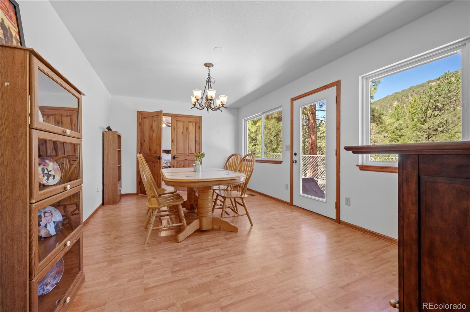 MLS Image #25 for 629  tumbleweed road,cotopaxi, Colorado