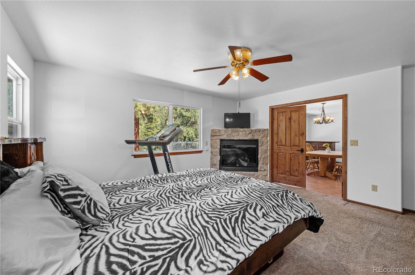 MLS Image #29 for 629  tumbleweed road,cotopaxi, Colorado