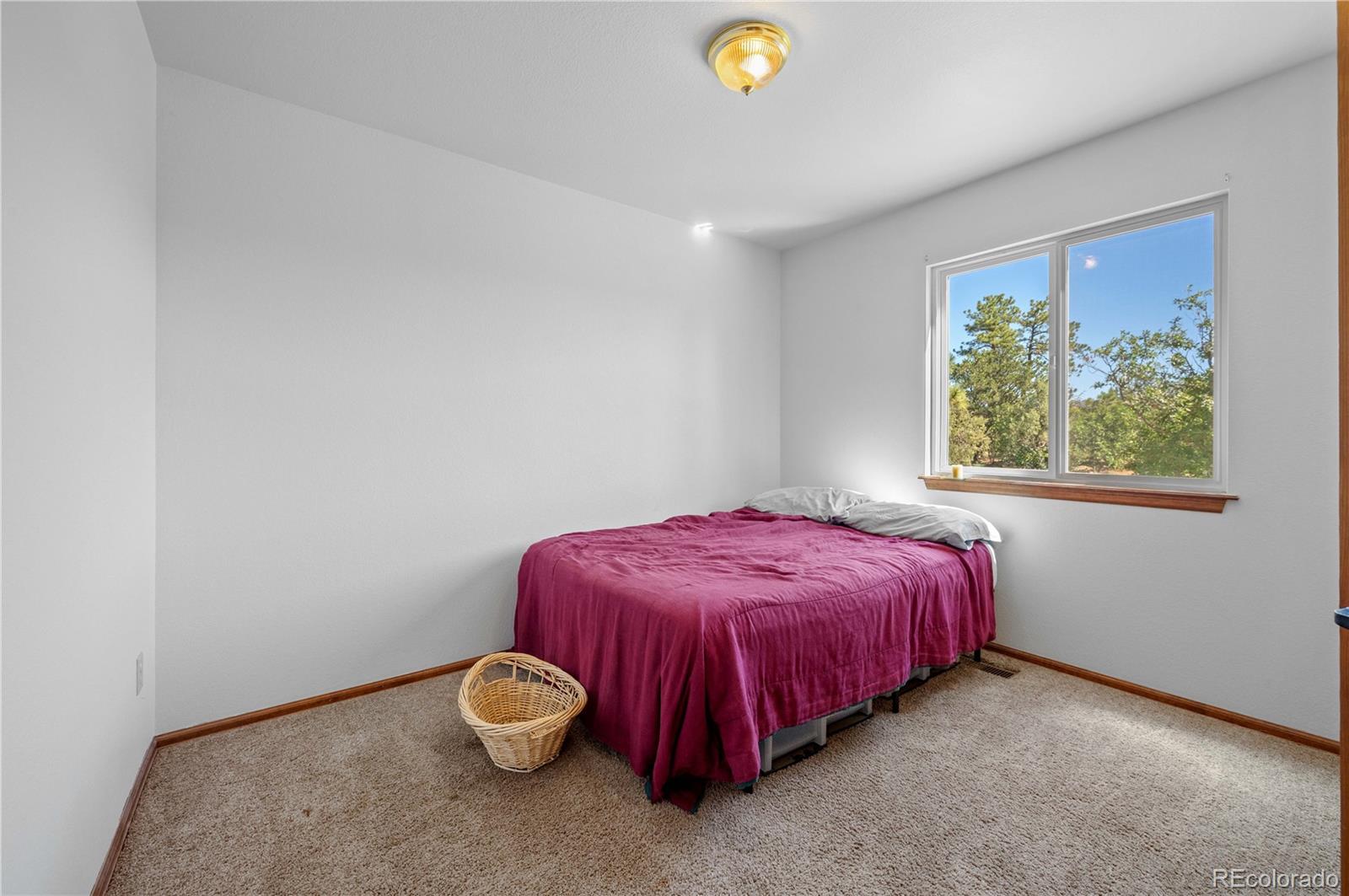 MLS Image #35 for 629  tumbleweed road,cotopaxi, Colorado