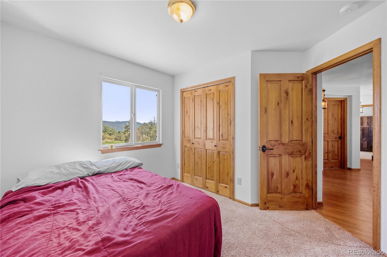 MLS Image #36 for 629  tumbleweed road,cotopaxi, Colorado