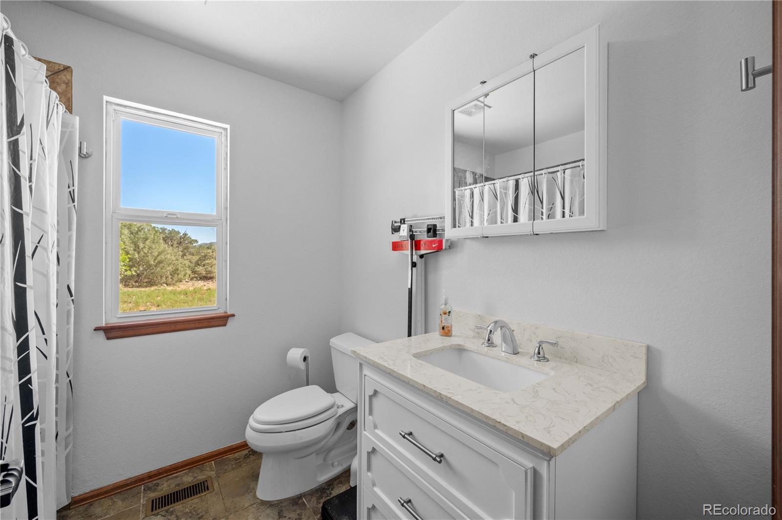 MLS Image #37 for 629  tumbleweed road,cotopaxi, Colorado