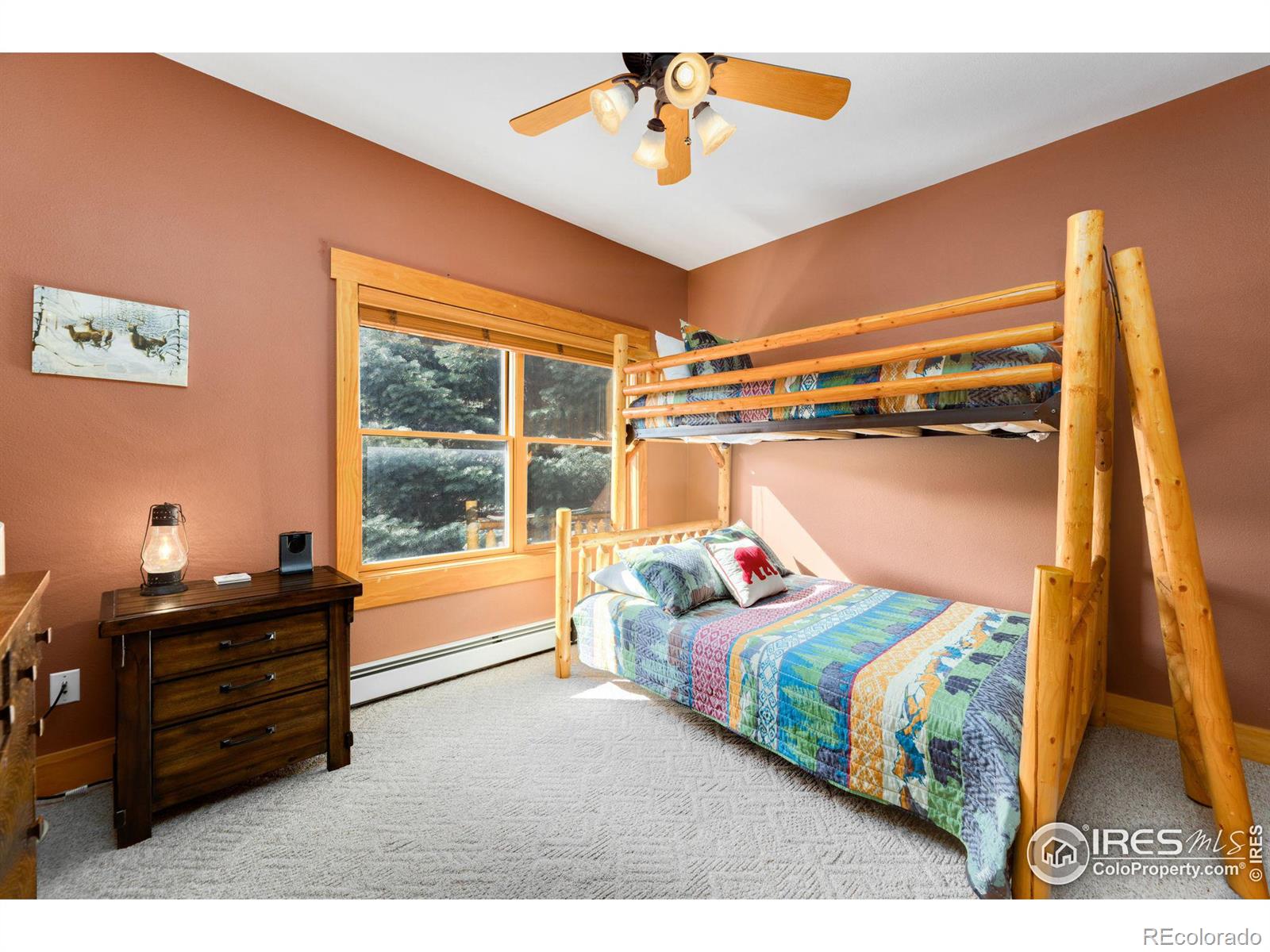 MLS Image #12 for 2625  marys lake road,estes park, Colorado