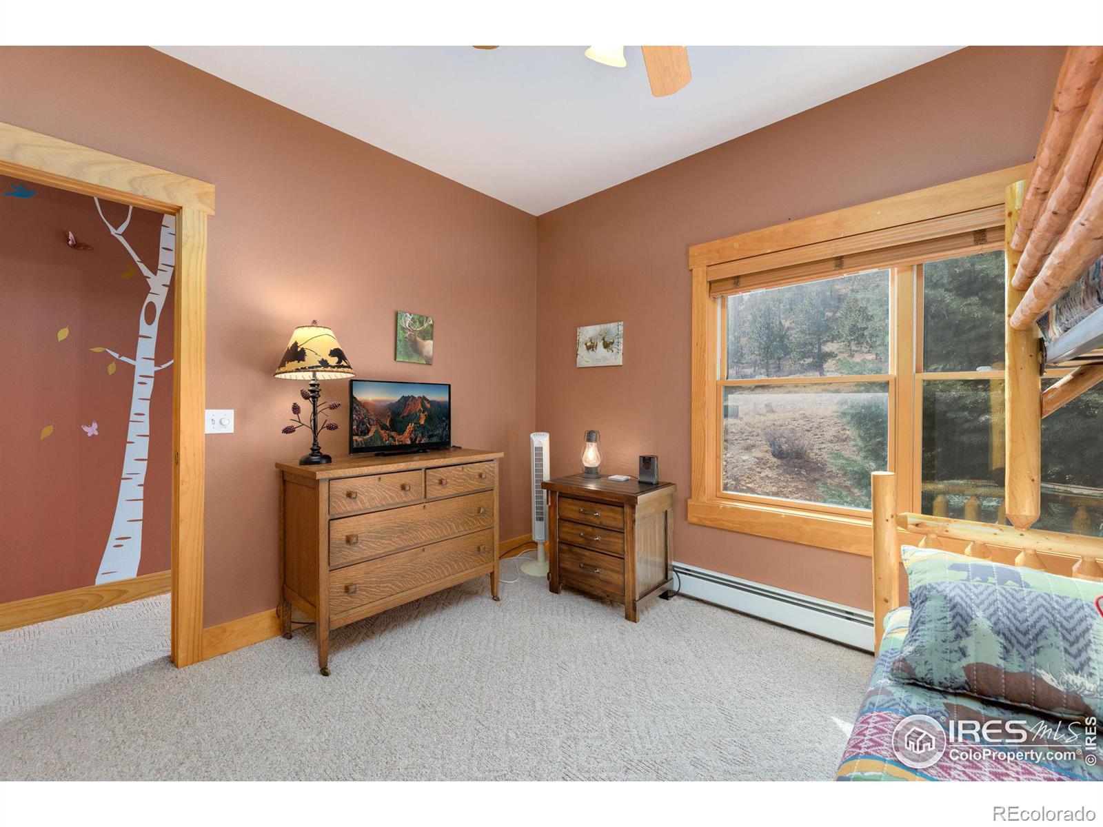 MLS Image #23 for 2625  marys lake road,estes park, Colorado