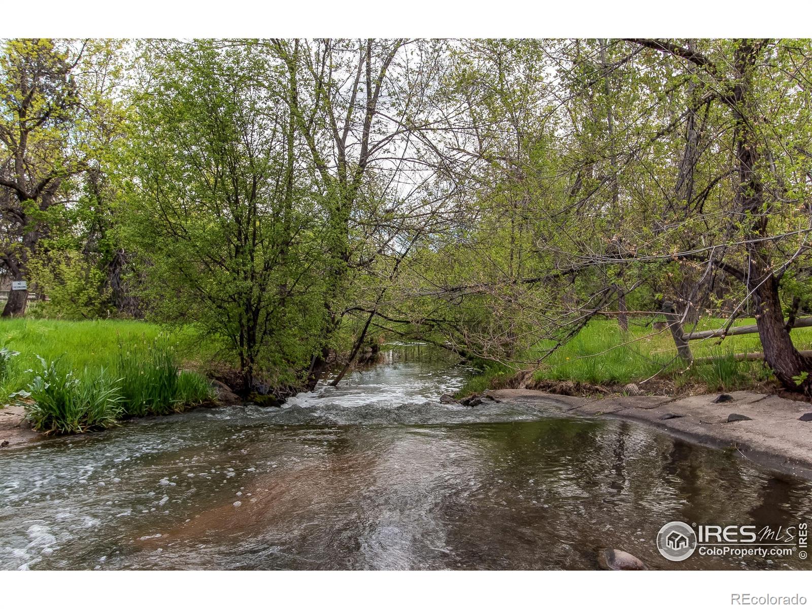 MLS Image #21 for 1742  springmeadows court,fort collins, Colorado