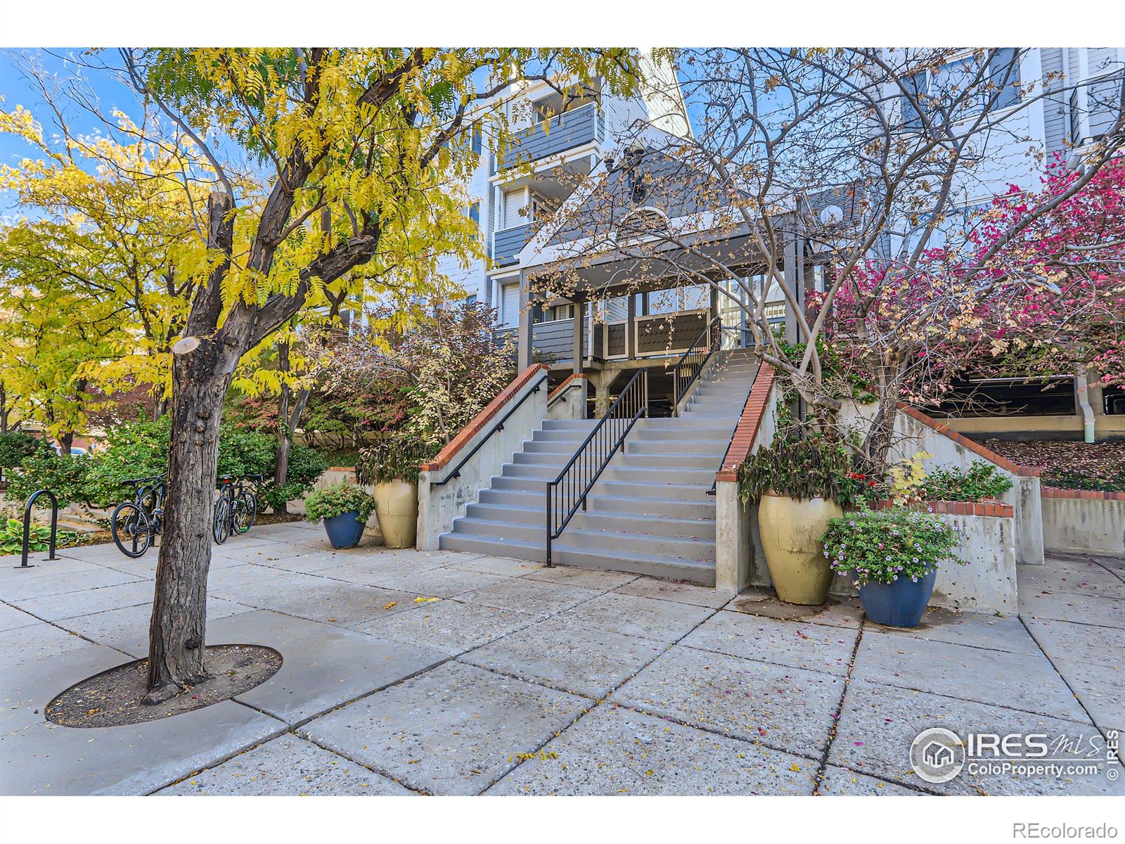 MLS Image #0 for 2201  pearl street,boulder, Colorado