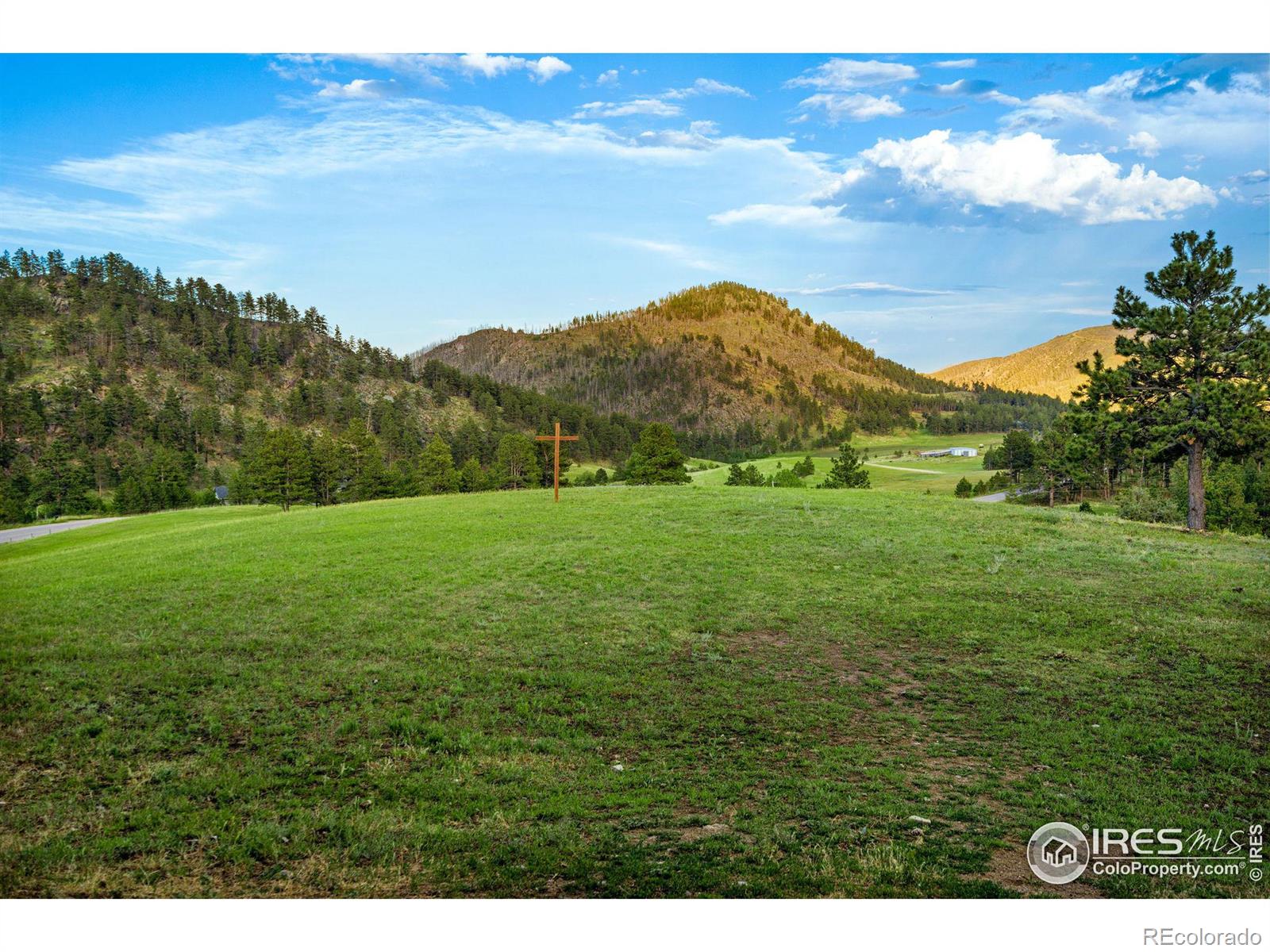 MLS Image #34 for 89  aspen leaf lane,bellvue, Colorado