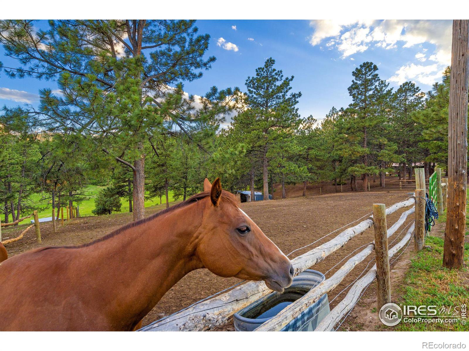 MLS Image #35 for 89  aspen leaf lane,bellvue, Colorado