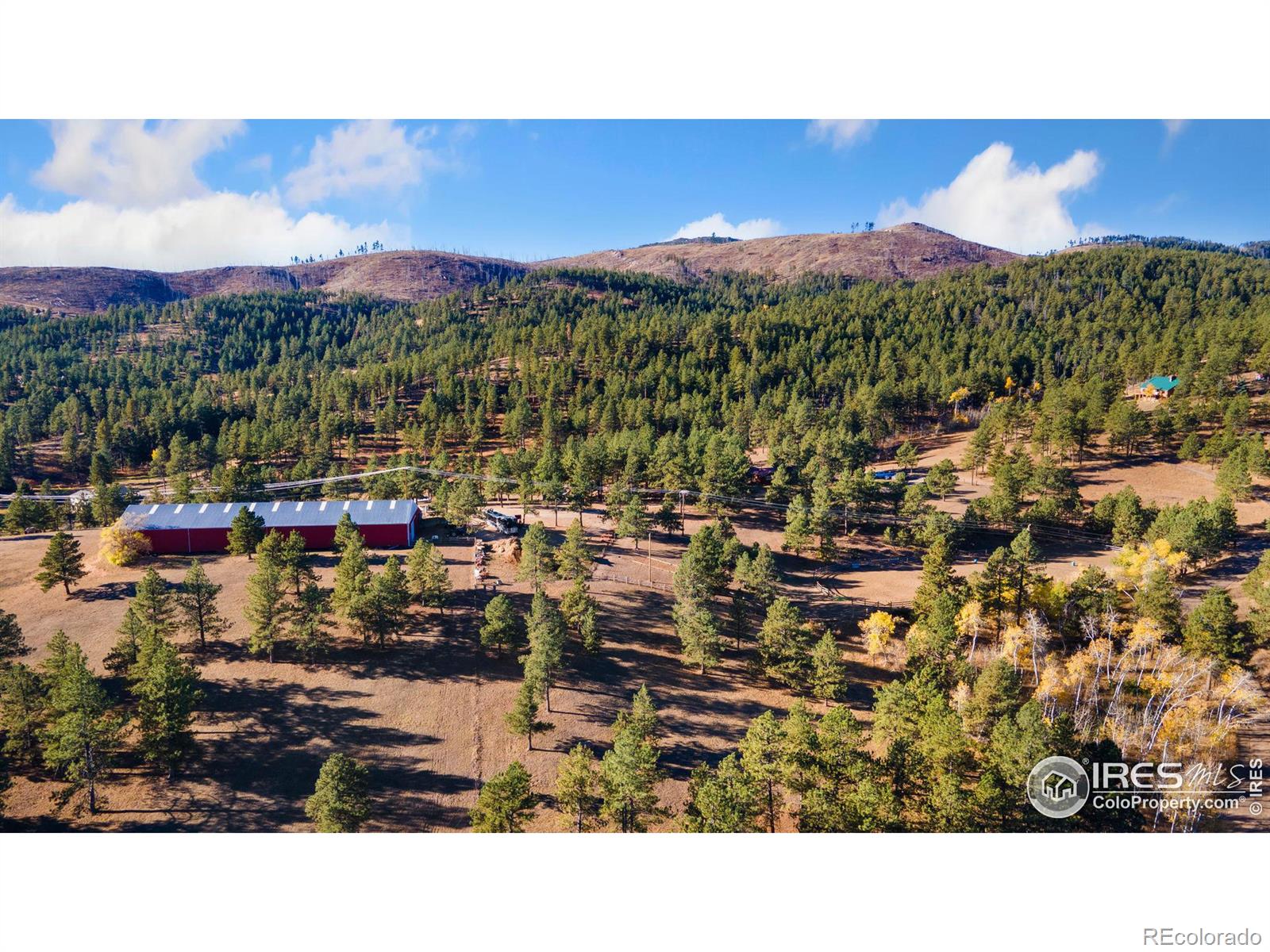 MLS Image #38 for 89  aspen leaf lane,bellvue, Colorado