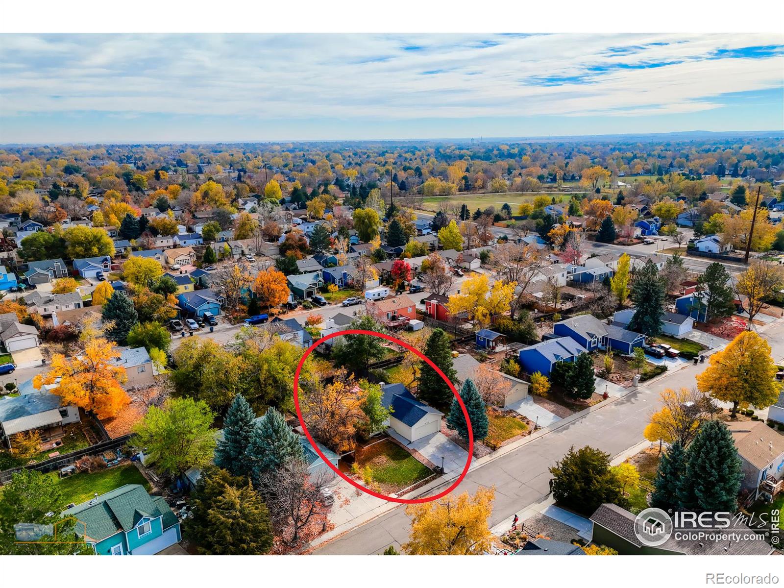 MLS Image #2 for 2142  sumac street,longmont, Colorado