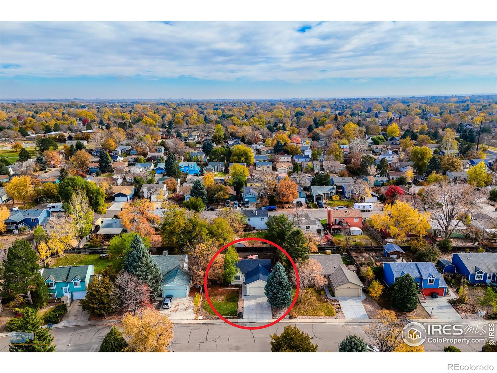 MLS Image #3 for 2142  sumac street,longmont, Colorado