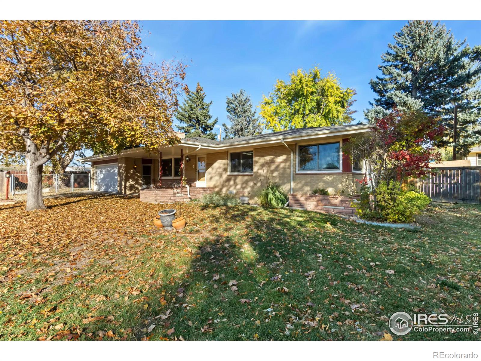 MLS Image #0 for 1312  elm avenue,loveland, Colorado