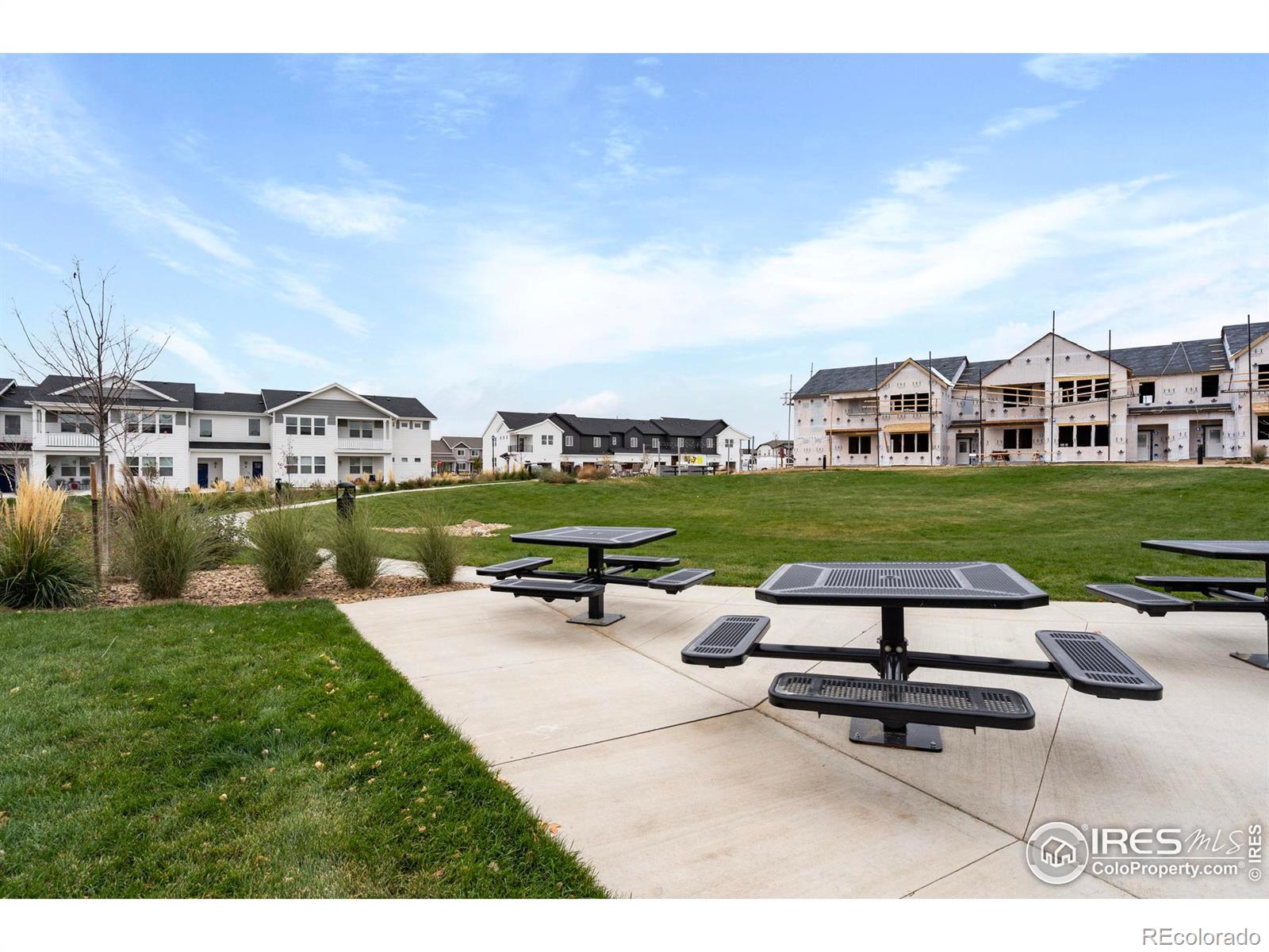 MLS Image #33 for 2110  setting sun drive,windsor, Colorado