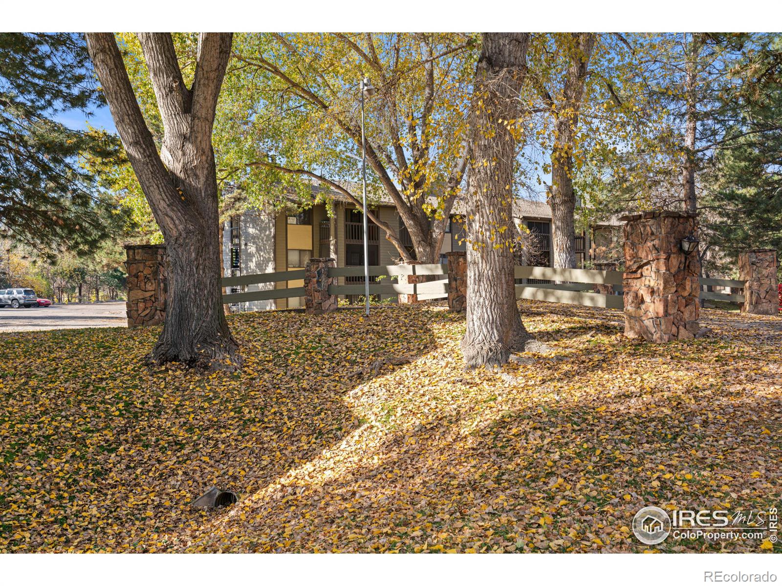 MLS Image #32 for 925  columbia road,fort collins, Colorado