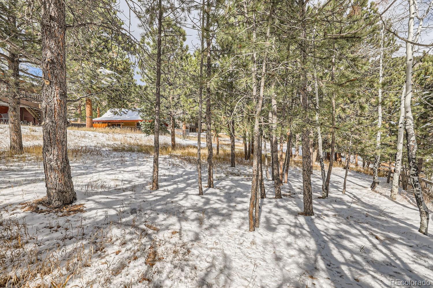 MLS Image #30 for 68 n ponderosa way,evergreen, Colorado