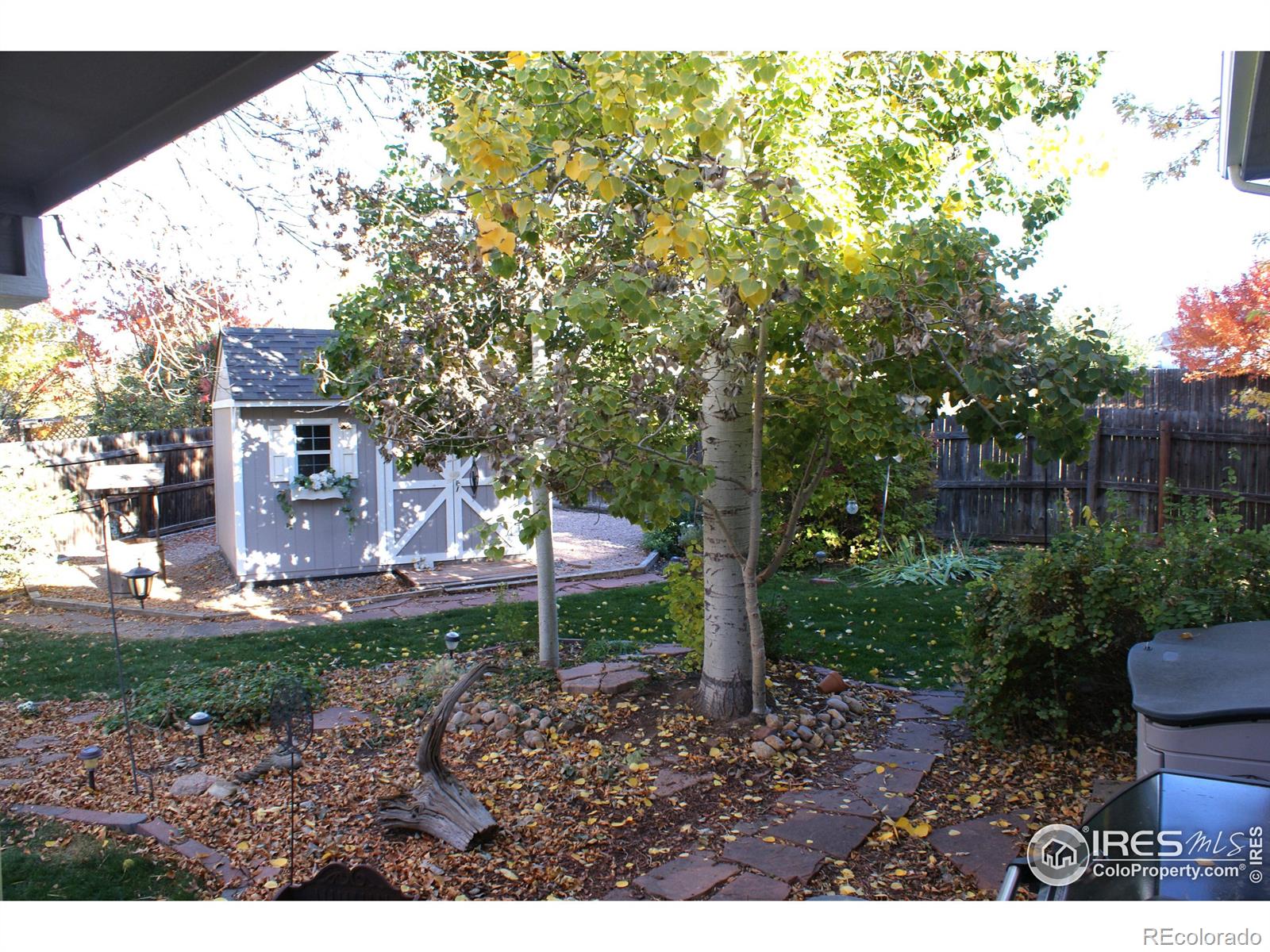 MLS Image #20 for 535  pine street,frederick, Colorado