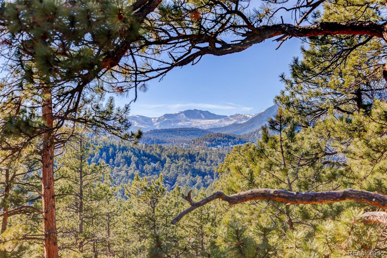 MLS Image #1 for 28890  pinewood vista drive,evergreen, Colorado