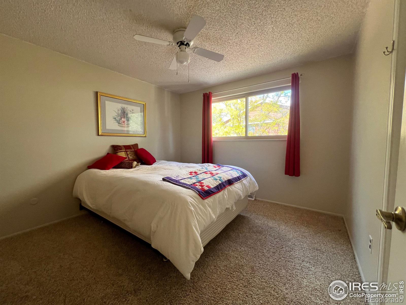 MLS Image #35 for 148  baylor way,longmont, Colorado