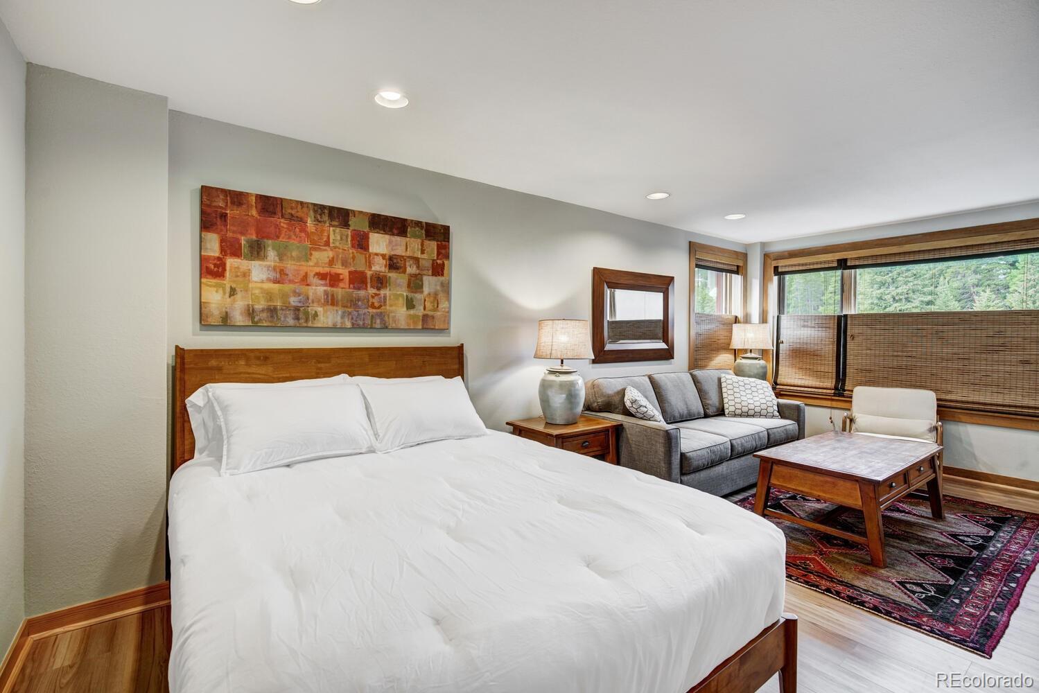 MLS Image #12 for 535 s park avenue,breckenridge, Colorado