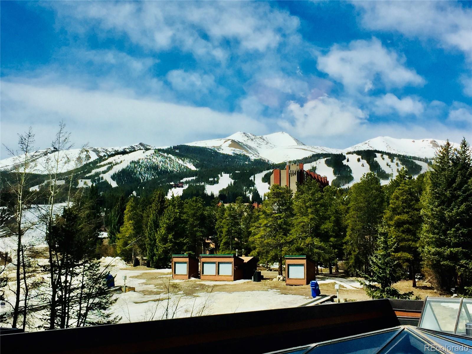 MLS Image #3 for 535 s park avenue,breckenridge, Colorado