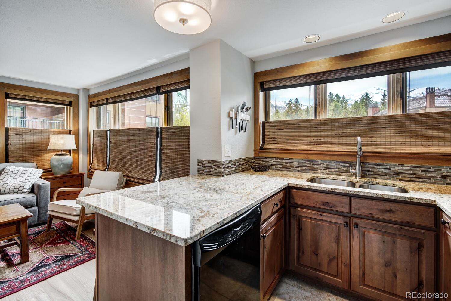 MLS Image #8 for 535 s park avenue,breckenridge, Colorado