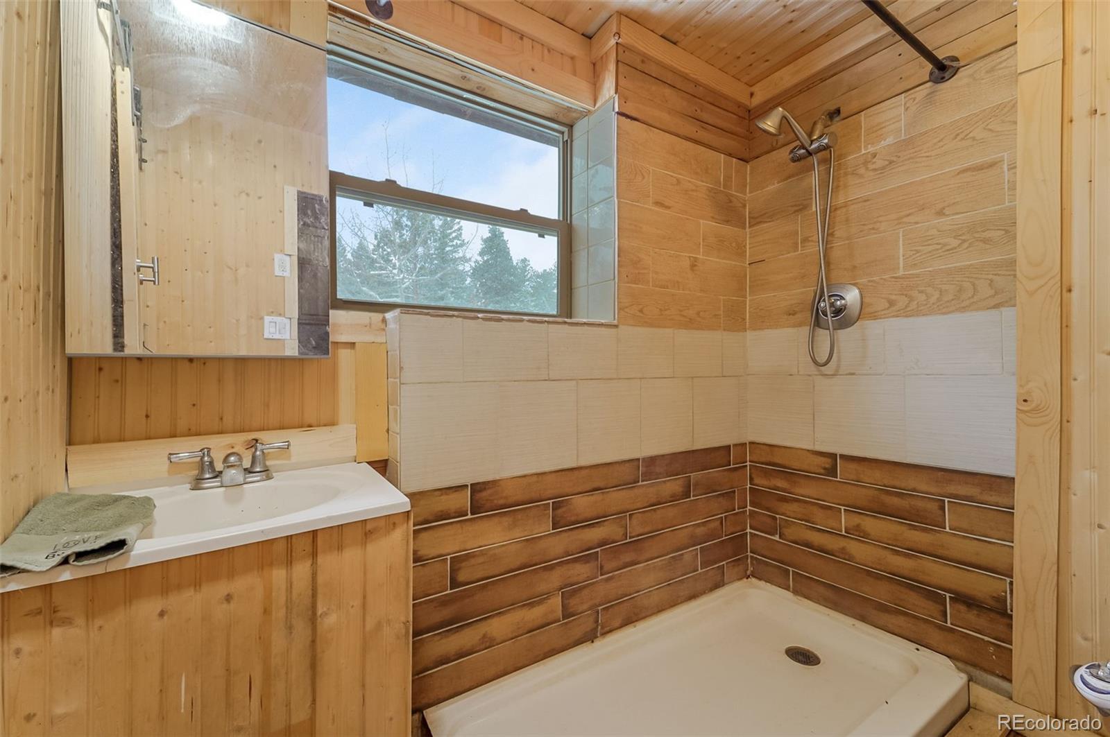 MLS Image #22 for 34291  kiowa lane,pine, Colorado