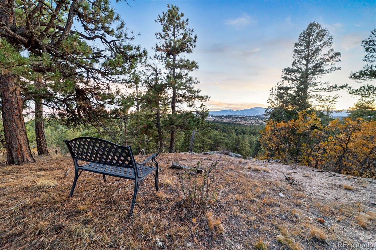 MLS Image #1 for 4450  walker ridge view,colorado springs, Colorado