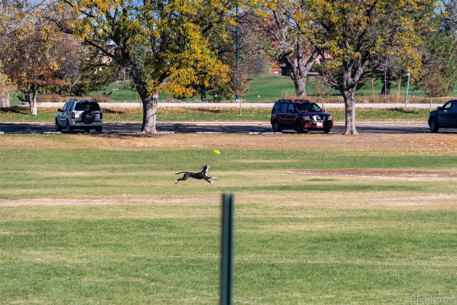 MLS Image #37 for 4100  albion street,denver, Colorado