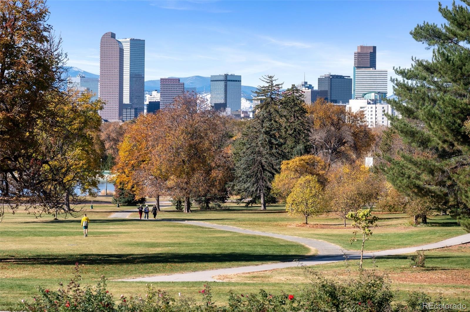 MLS Image #39 for 4100  albion street,denver, Colorado