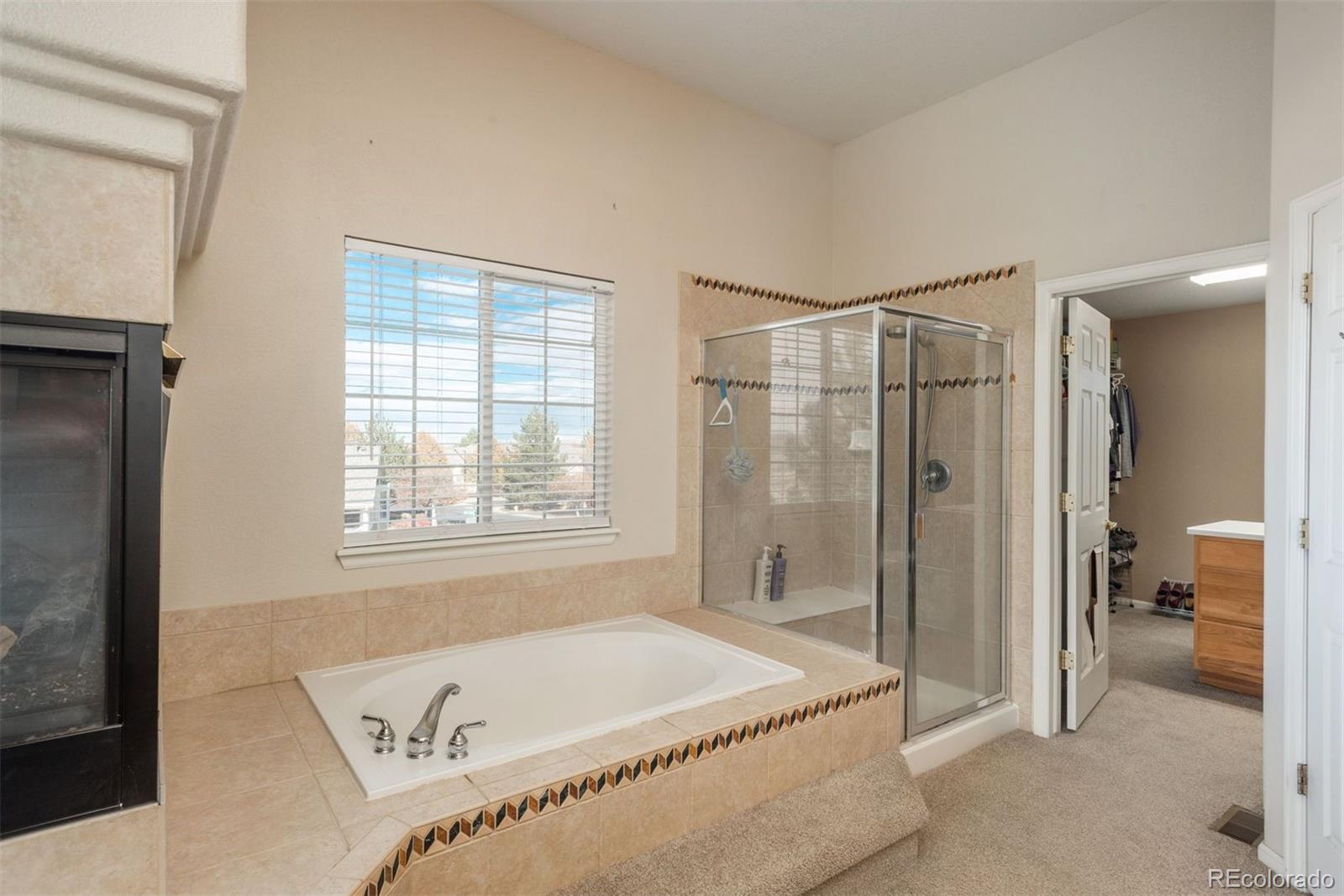 MLS Image #19 for 16797  firebrick drive,parker, Colorado