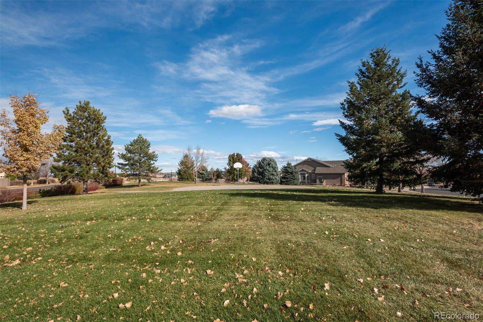 MLS Image #35 for 16797  firebrick drive,parker, Colorado